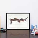 Chimera lithograph animal engraving - l'acilbrouck