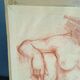 Drawing sanguine study nude female 67/50cm 1950