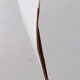 Rare beautiful French table lamp design by Jean-Pierre Alary, France.
