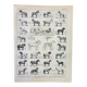 Old engraving 1898, Horses, breed, anatomy, race • Original and vintage lithograph