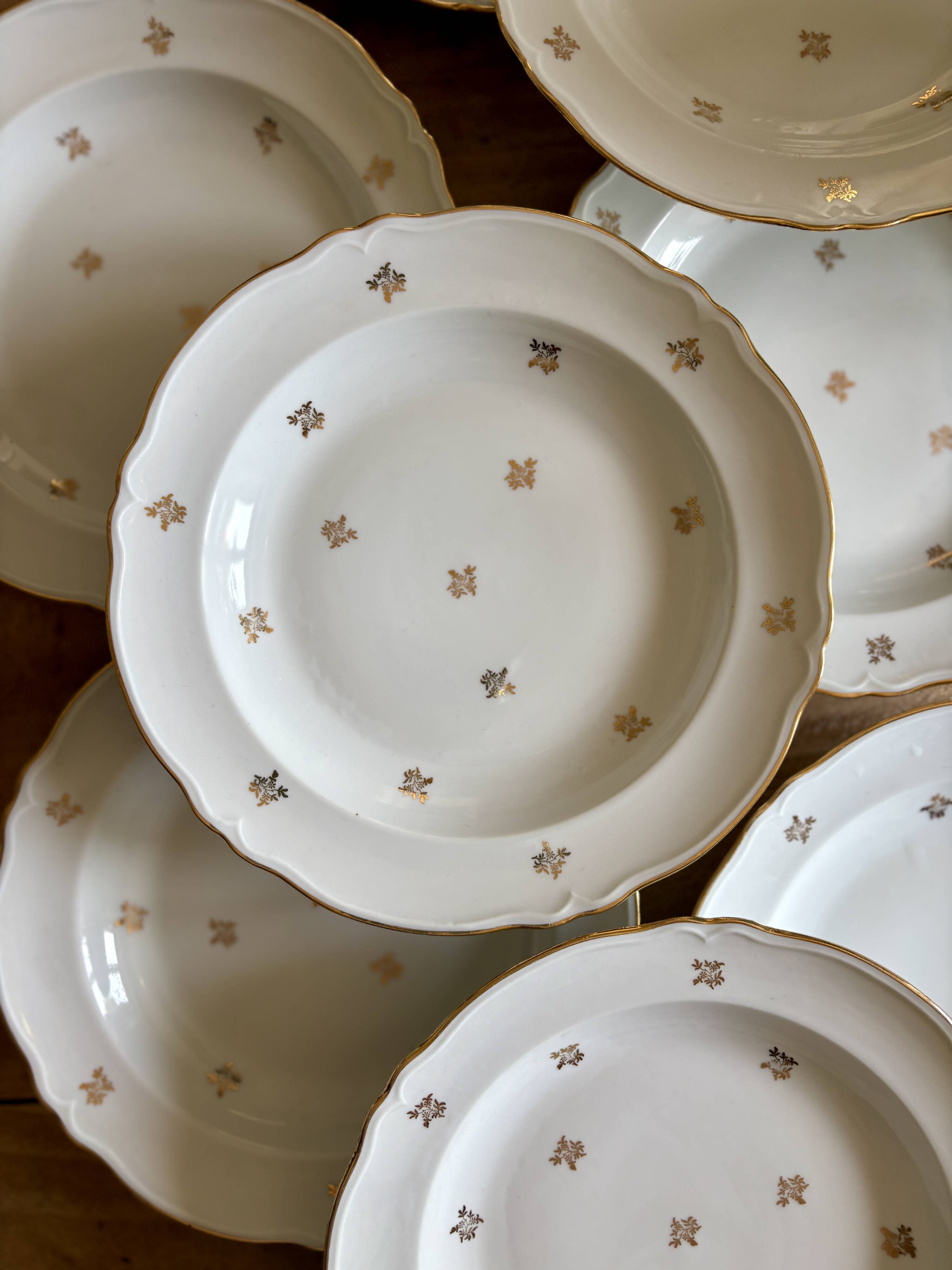 Set of 10 vintage Limoges porcelain soup plates