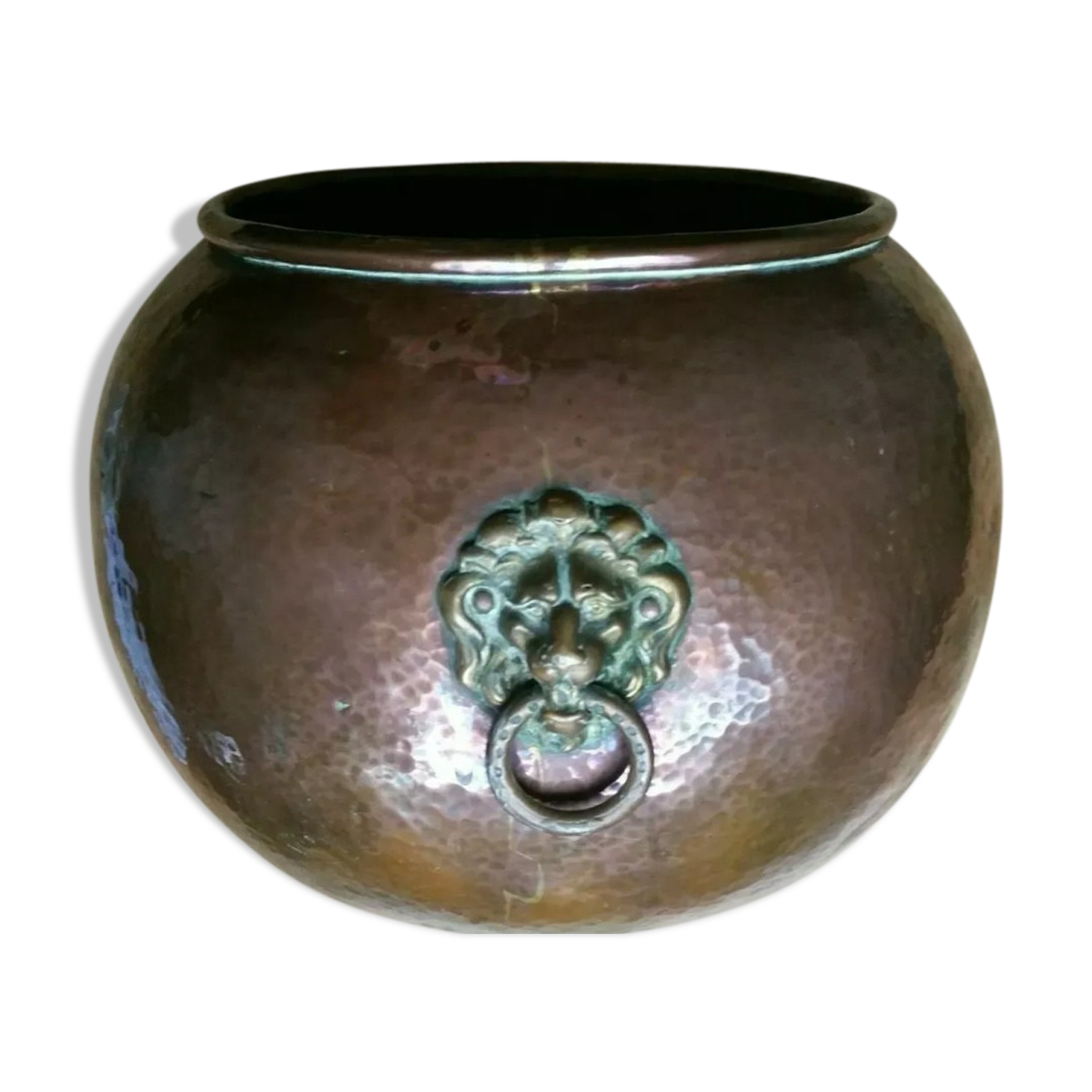 Copper lions head hide-and-seek