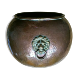 Copper lions head hide-and-seek