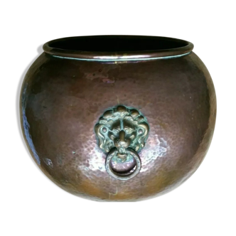 Copper lions head hide-and-seek