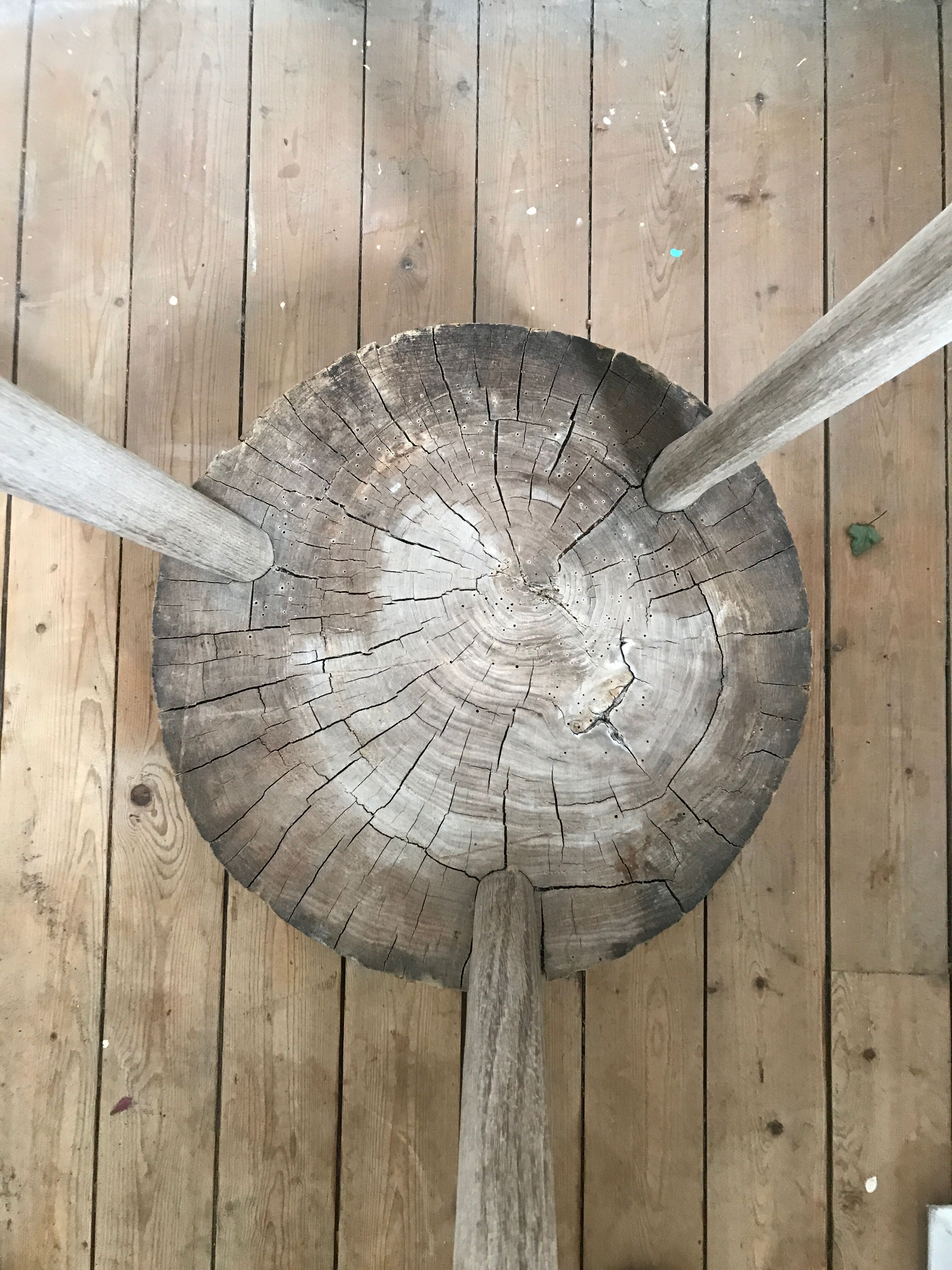 Old log, wooden harness