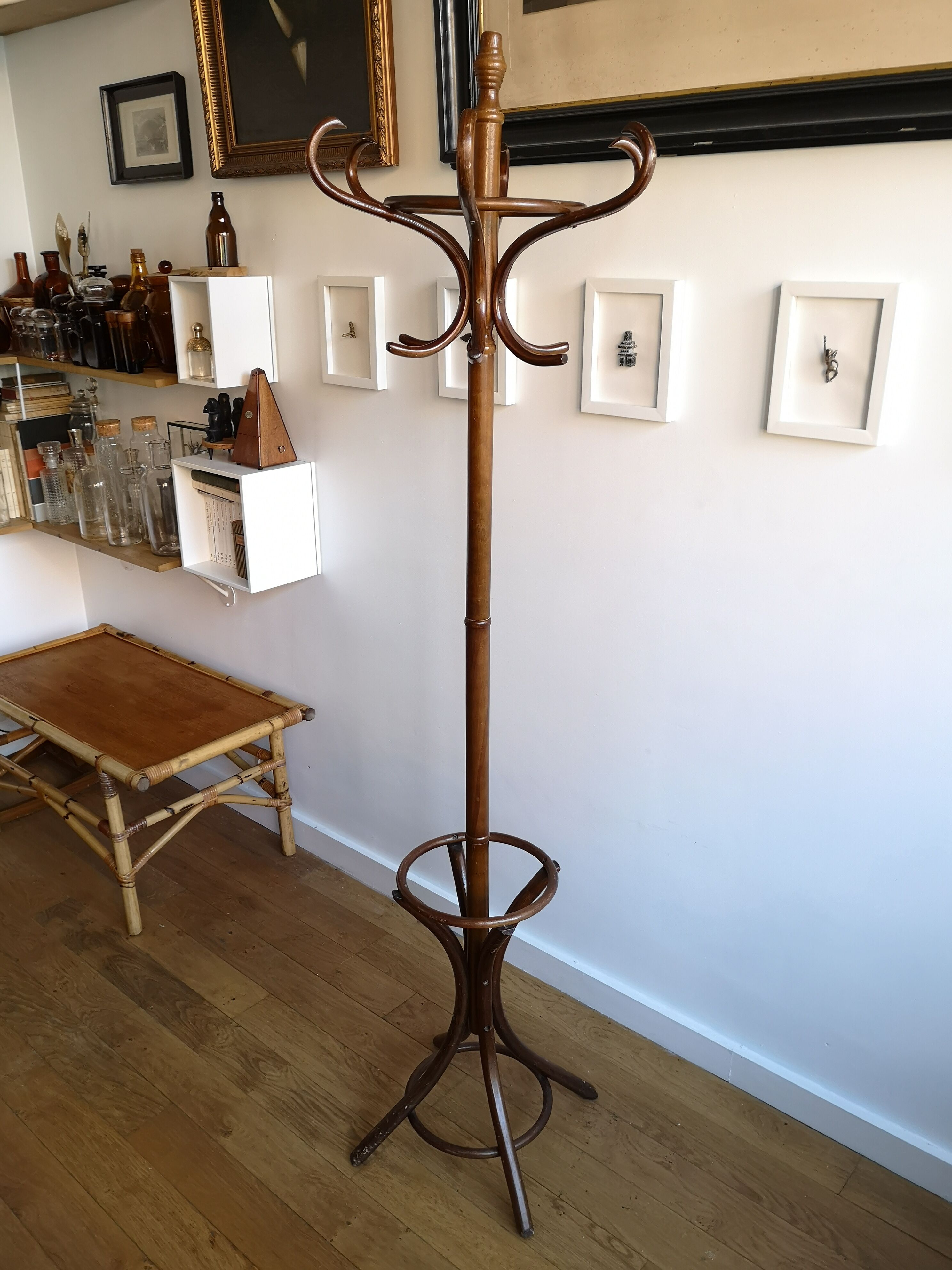 Dark wooden parrot coat holder 12 patères