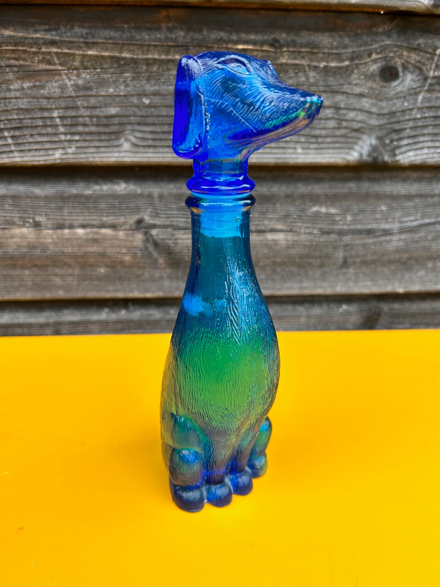 Italian bottle dog polite