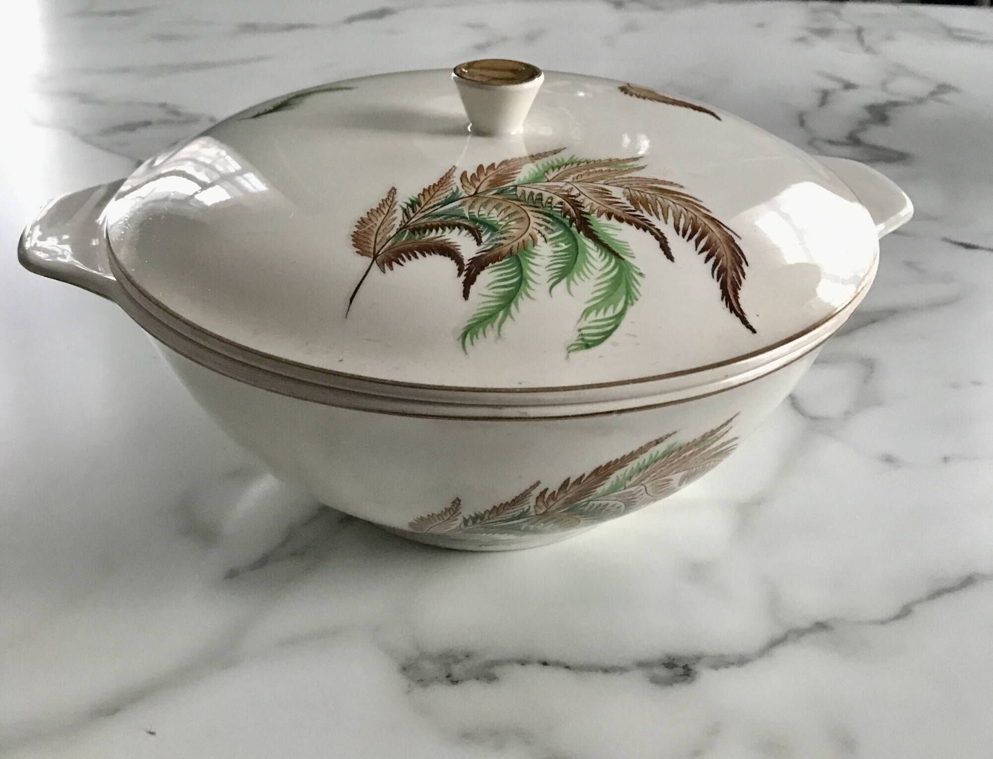 Very pretty vintage Digoin Sarreguemines fern soup tureen