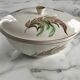Very pretty vintage Digoin Sarreguemines fern soup tureen