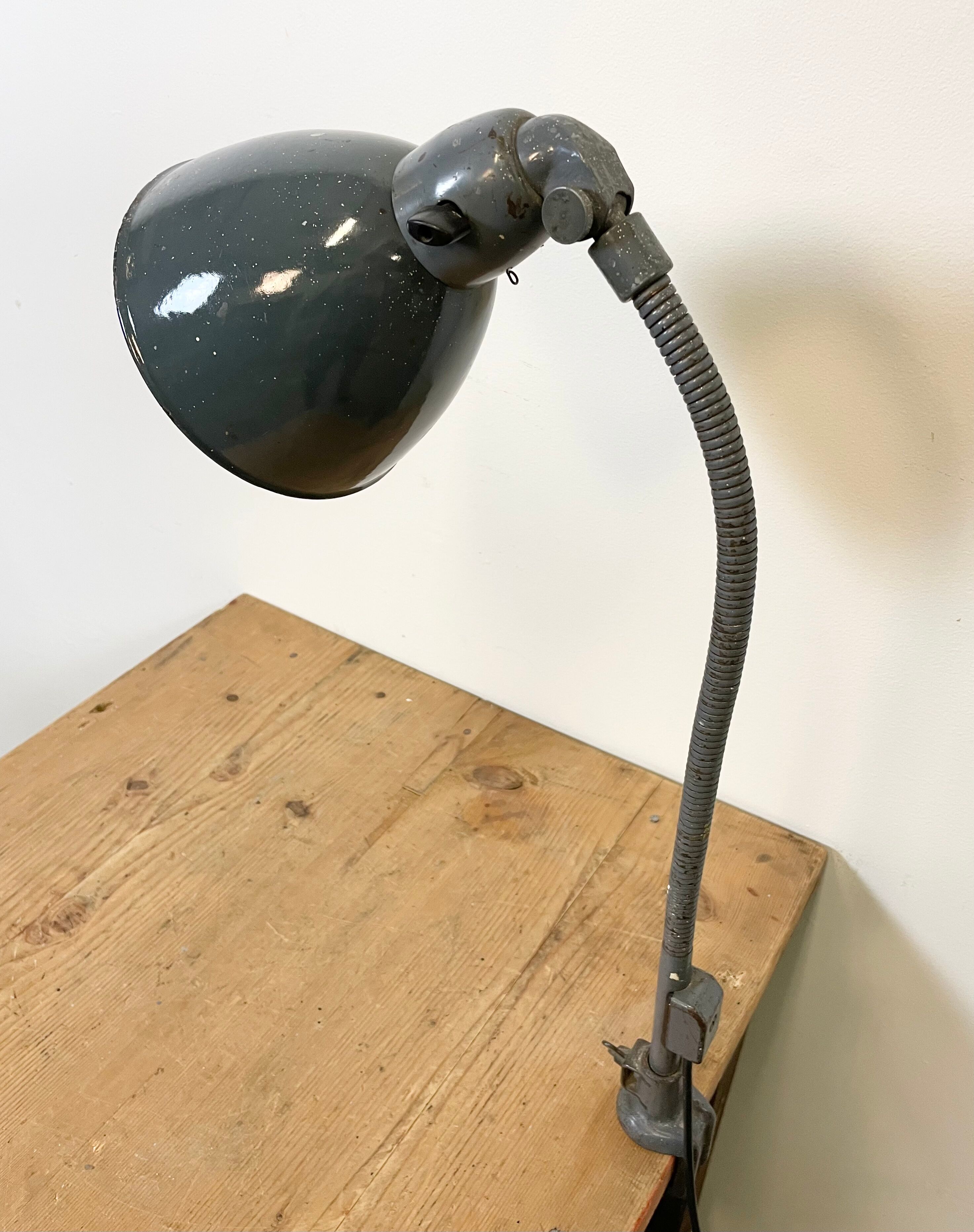 Industrial Grey Enamel Gooseneck Desk Lamp from Siemens, 1950s