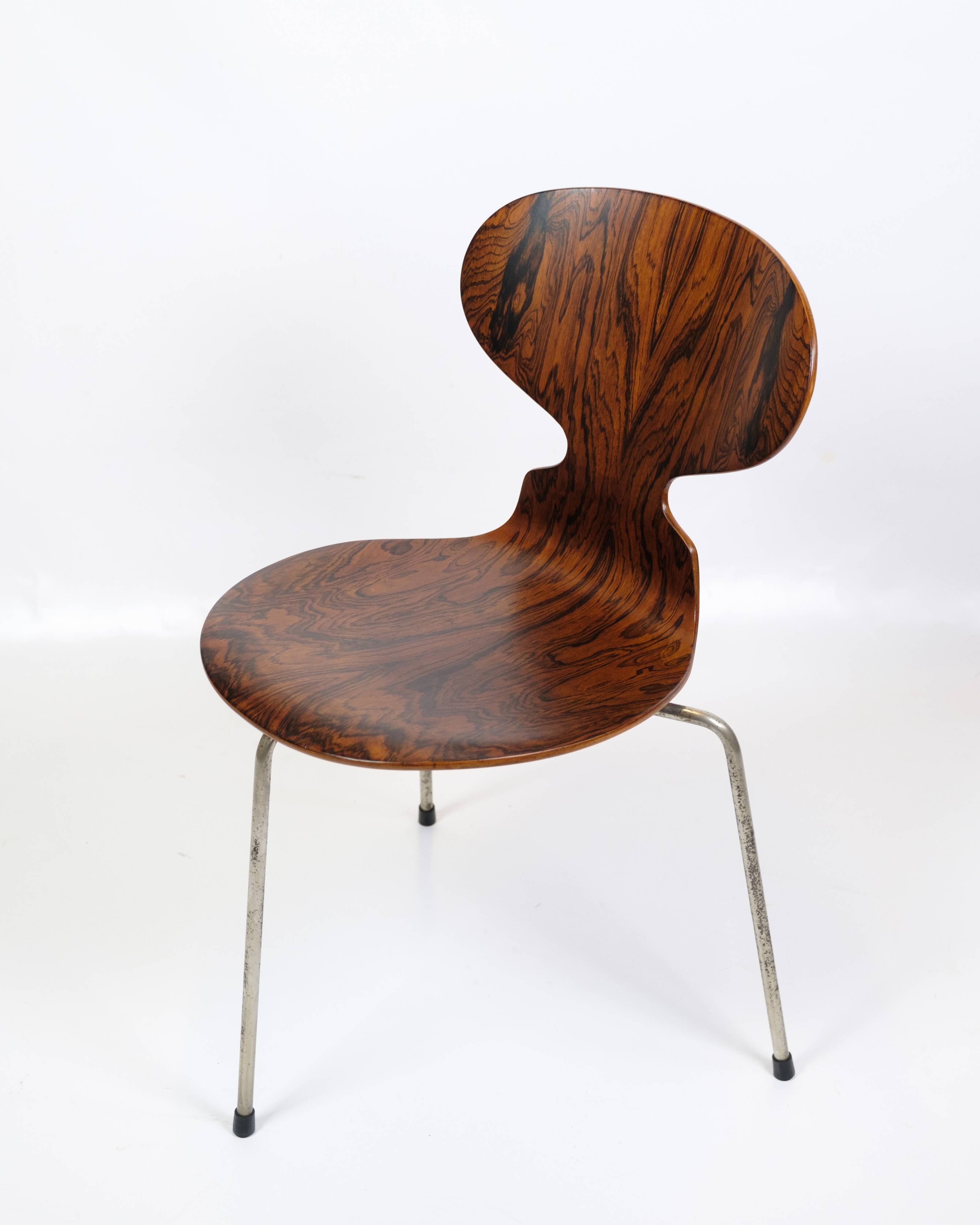 Set Of 6 Ant Chairs Model 3101 Made In Rosewood By Arne Jacobsen For Fritz Hansen From 1950s