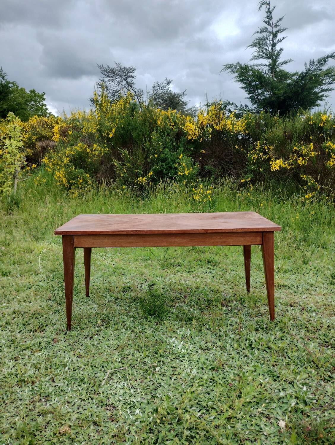 Vintage coffee table