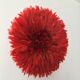 Jujuhat rouge 50 cm