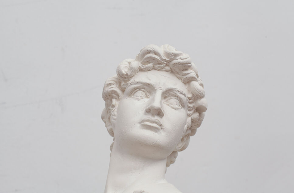 David head in white plaster