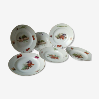 6 HOLLOW PLATES IN PORCELAIN THICK DECOR LEGUMES 4 SEASONS