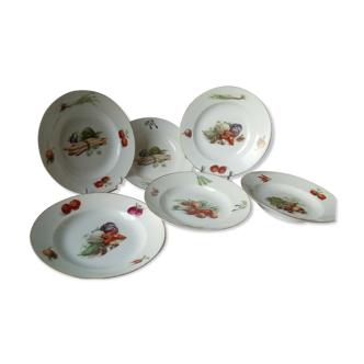 6 HOLLOW PLATES IN PORCELAIN THICK DECOR LEGUMES 4 SEASONS