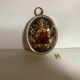 Old glass frame domed dried flowers