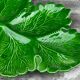 Green Ceramic Hors d'Oeuvres Dish in Leaf Shape, Art Deco Period