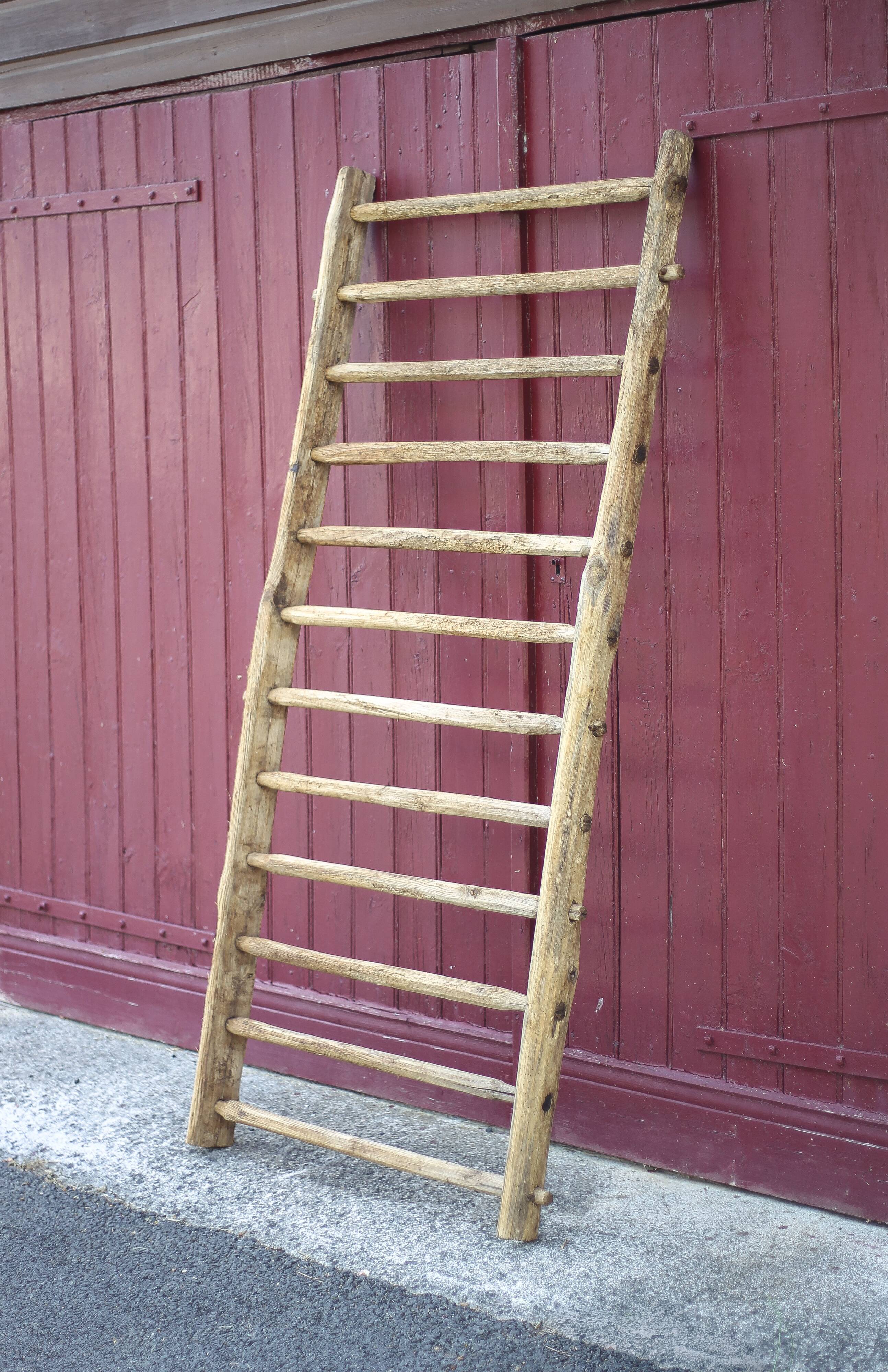 Antique vintage wooden animal fence, wall trellis, plant stand