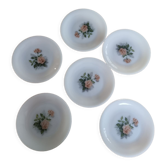 set of 6 Arcopal dessert plates