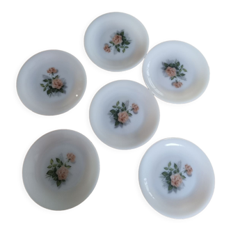 Lot de 6 assiettes à dessert Arcopal