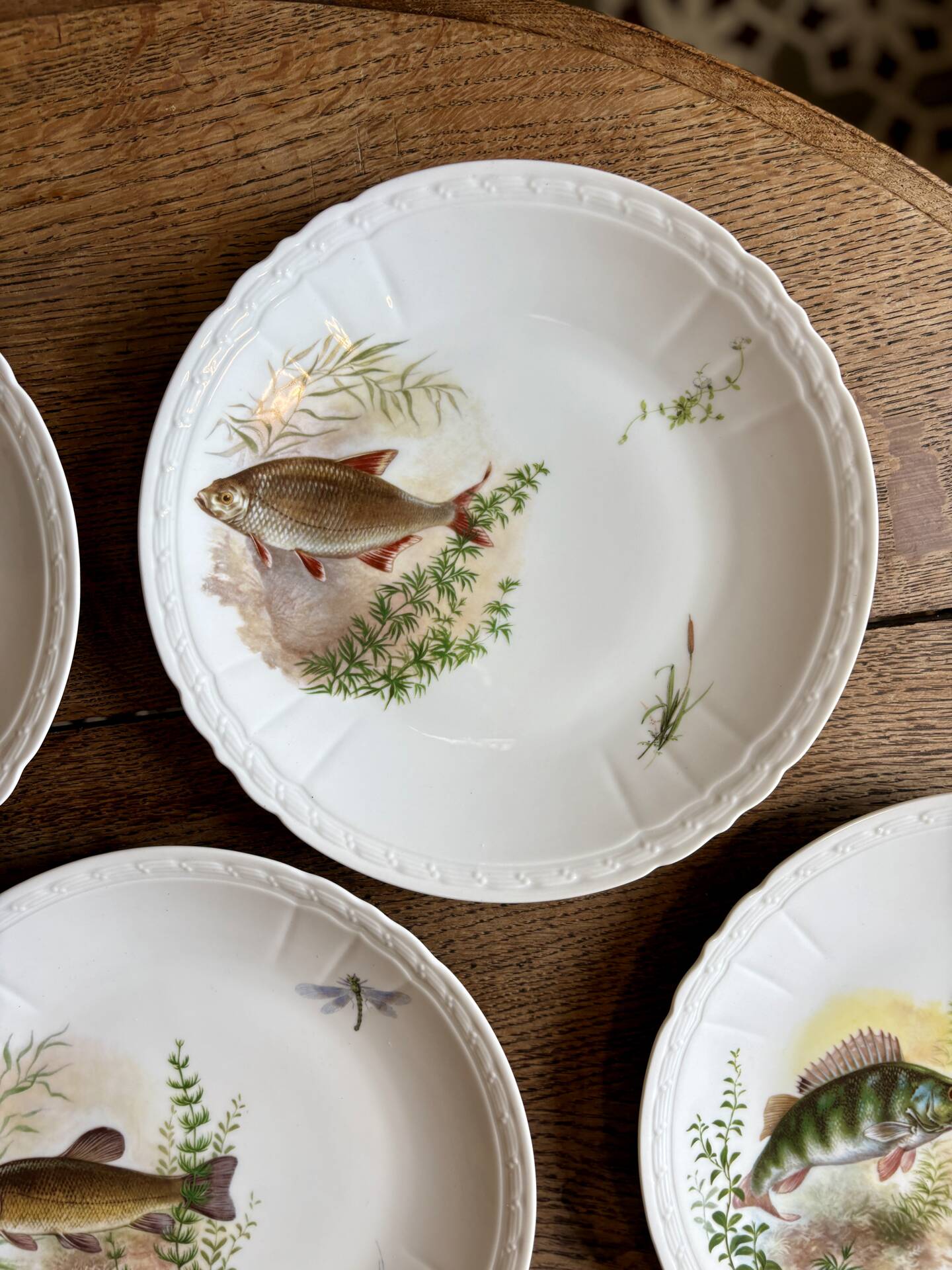 Set of 10 antique flat plates in porcelain, decorated with fish.