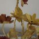 Large Vintage French FloralThree Arm Candelabra – Tied Bouquet Style