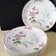 6 Limoges porcelain dessert plates by Ch. Field Haviland