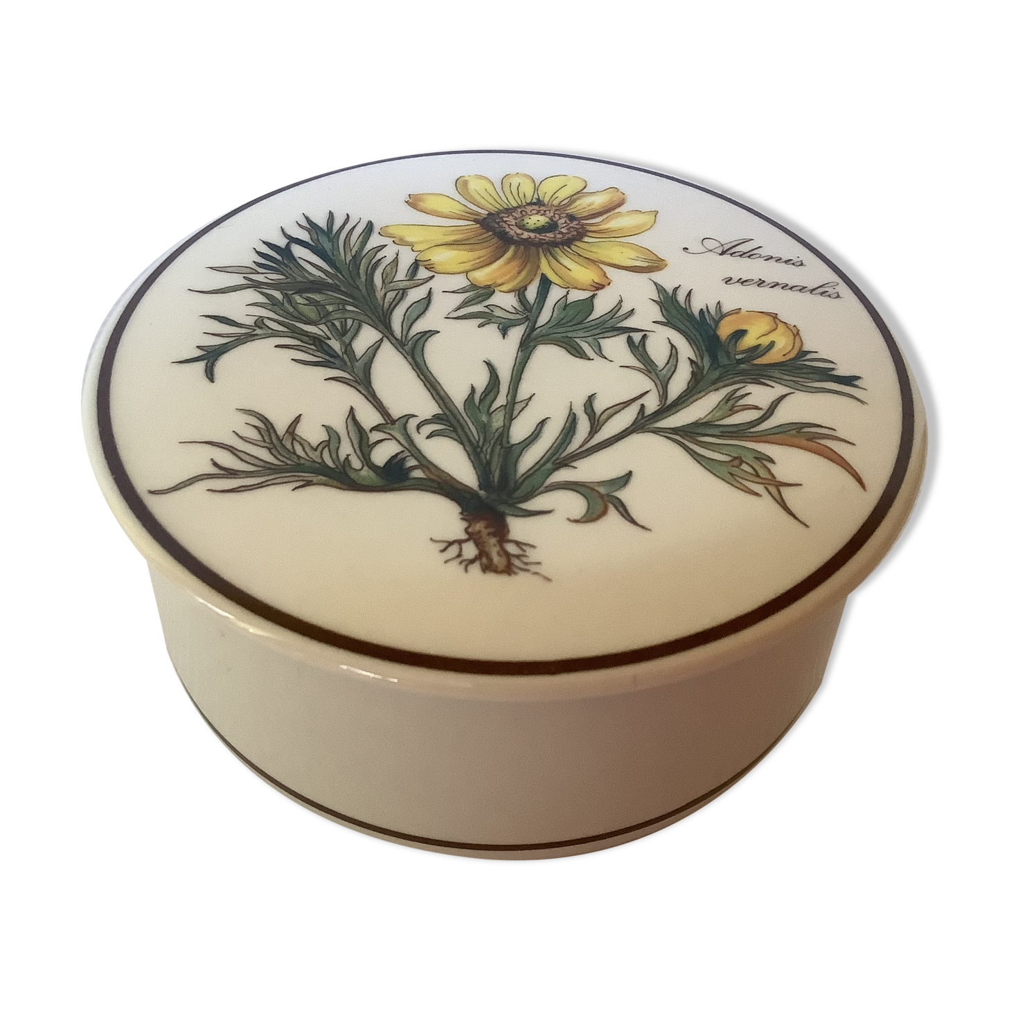 Villeroy and Boch yellow flower box