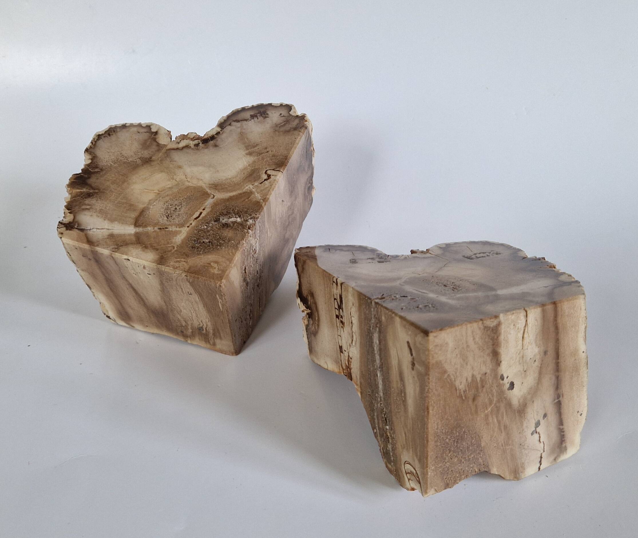 Pair of petrified wood bookends