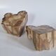 Pair of petrified wood bookends