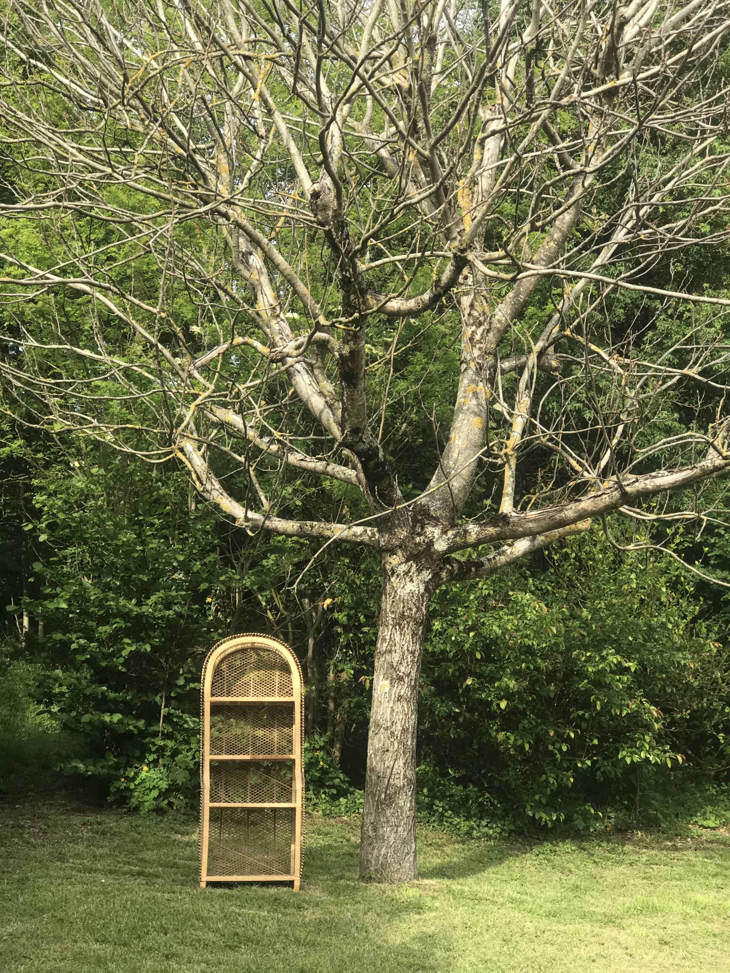 Vintage rattan cabinet