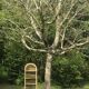 Armoire rotin vintage