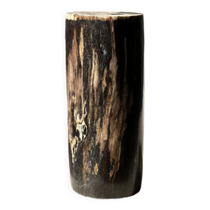 Table d'appoint en bois pétrifié