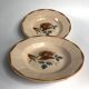 2 old hollow plates Digoin Sarreguemines