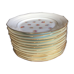 12 assiettes et plat