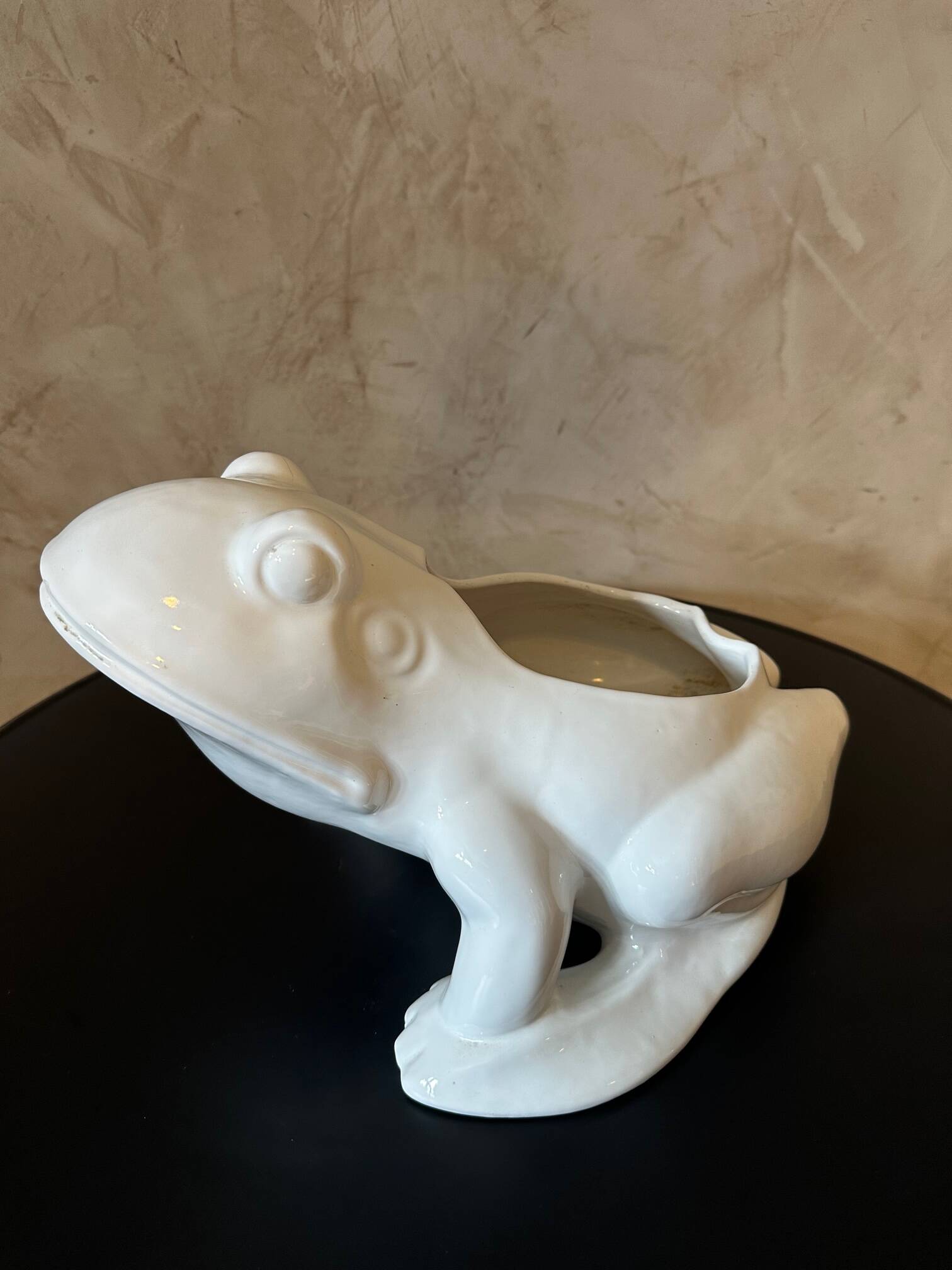 Frog plant pot