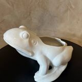 Frog plant pot