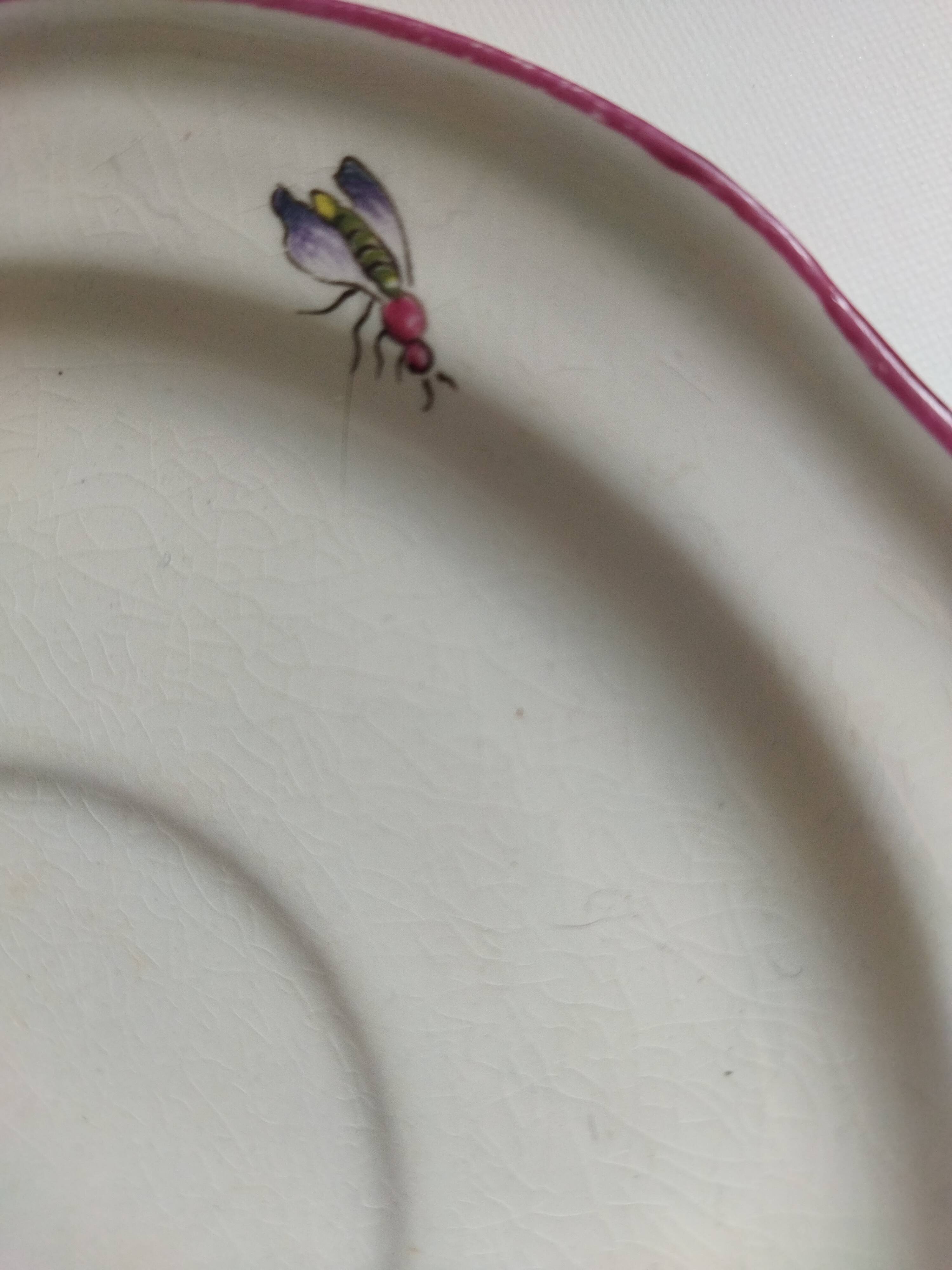 Lunch cup St Amand Vieux Strasbourg à la mouche