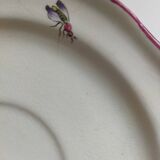 Lunch cup St Amand Vieux Strasbourg à la mouche