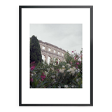 Pula Arena 02
