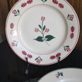 6 old flat plates mismatched Terre de Fer