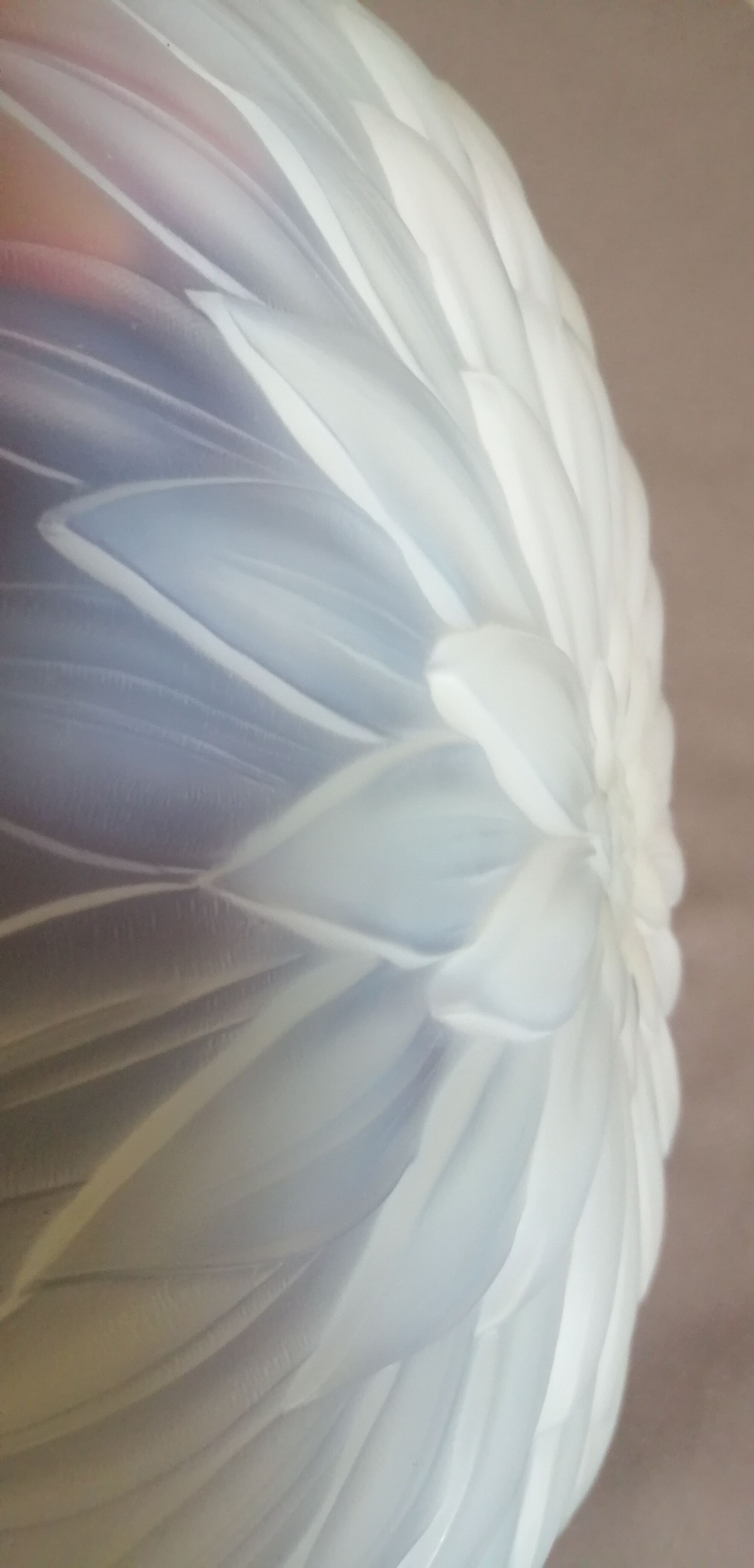 Coupe en verre opalescent  art déco etling france 145 vers 1930