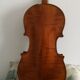 Violin'' Antonius Stradivarius' '
