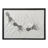 Original framed print of a school of octopus
