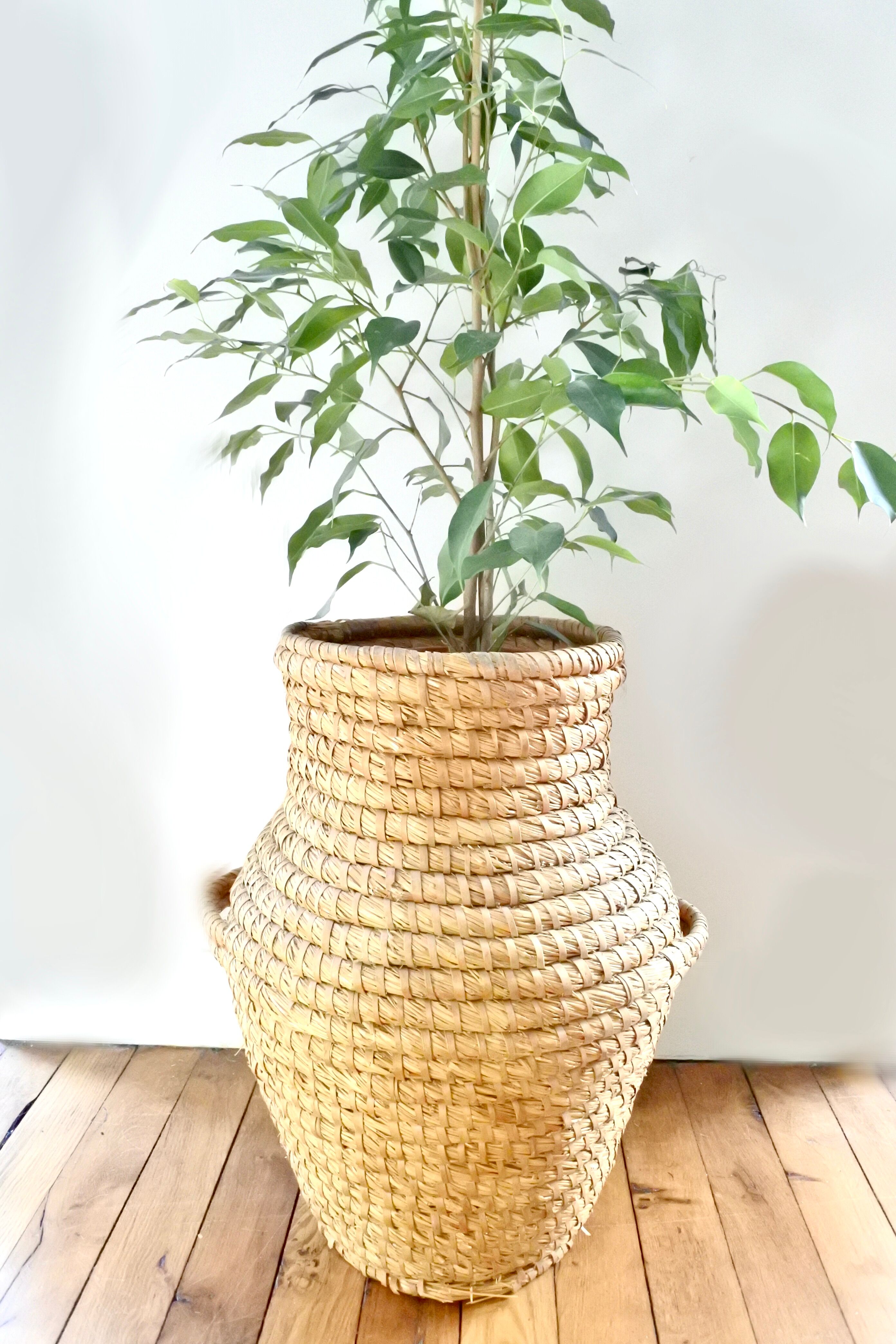 Braided wicker jar