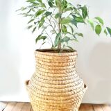 Braided wicker jar
