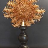 Cabinet of Curiosities starfish acanthaster planci on a base