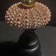 Cabinet of Curiosities sea urchin paracentrotus lividus on pedestal