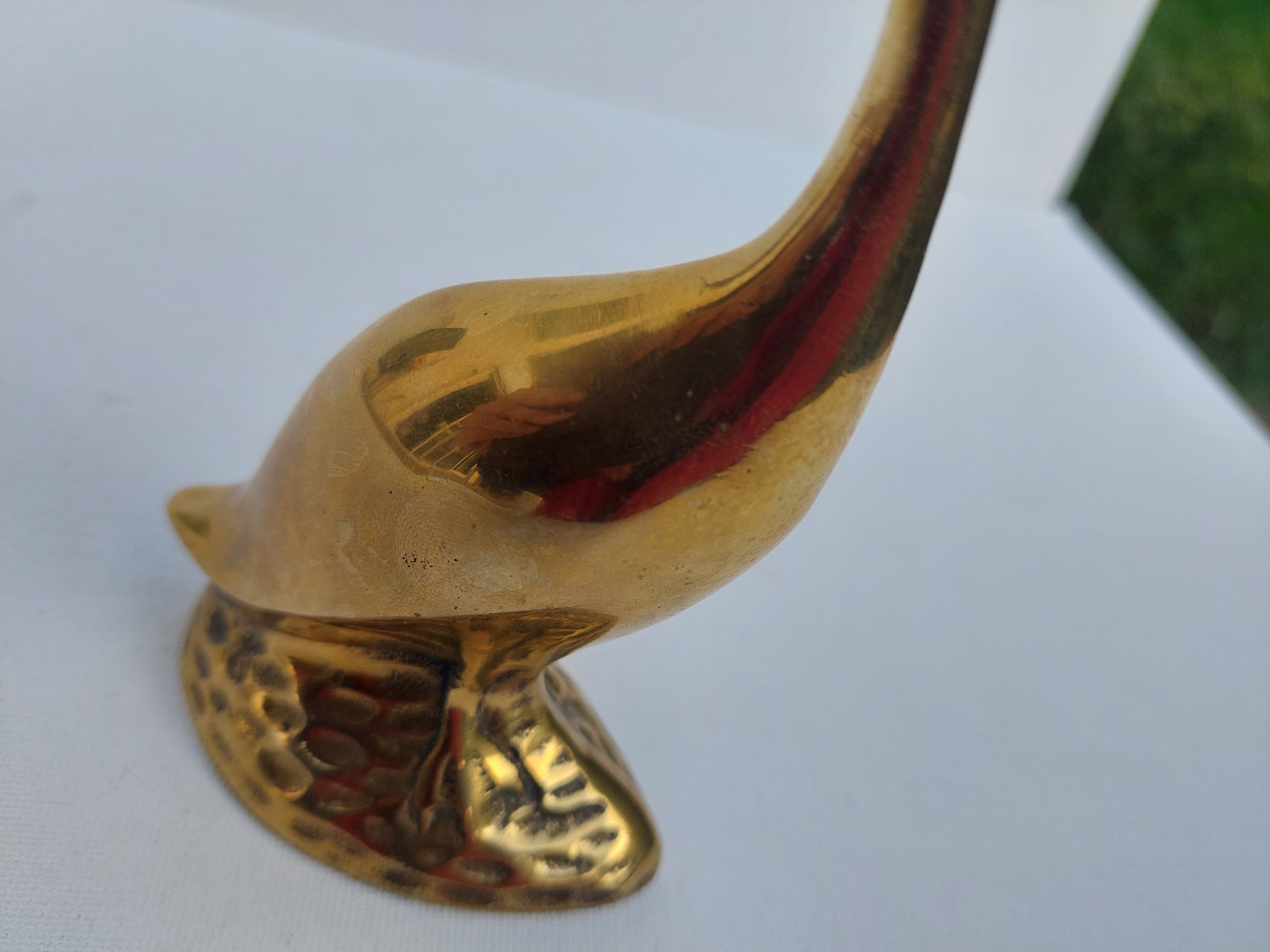 Yellow copper Swan